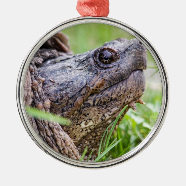 Snapping Turtle Metal Tree Decoration (Front)