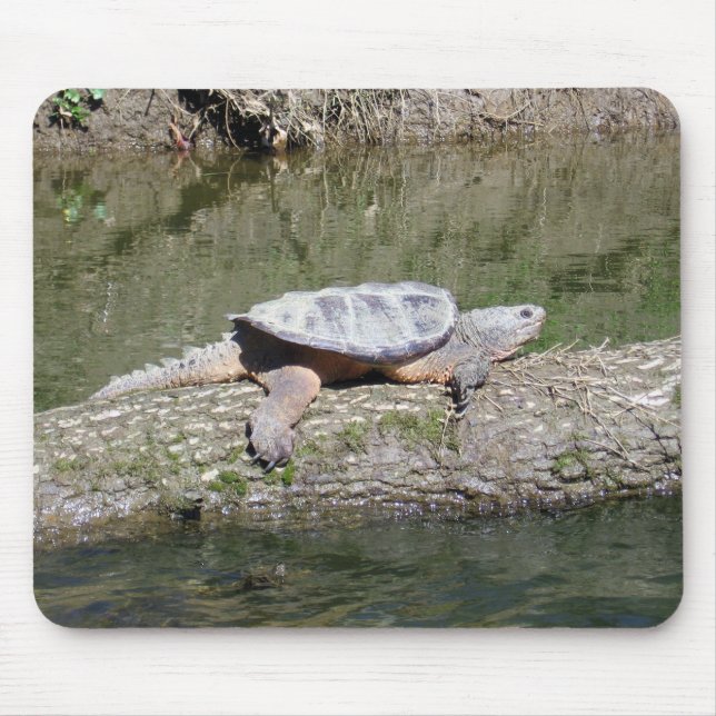 Snapping Turtle Mouse Pad (Front)
