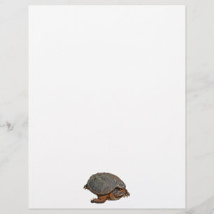 Snapping Turtle Terrapin-lover Gift