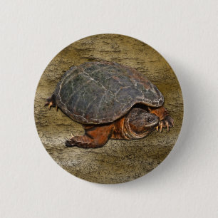 Snapping Turtle Terrapin-lover Gift 6 Cm Round Badge