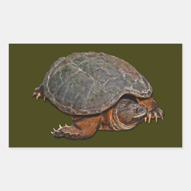 Snapping Turtle Terrapin-lover Gift Rectangular Sticker (Front)
