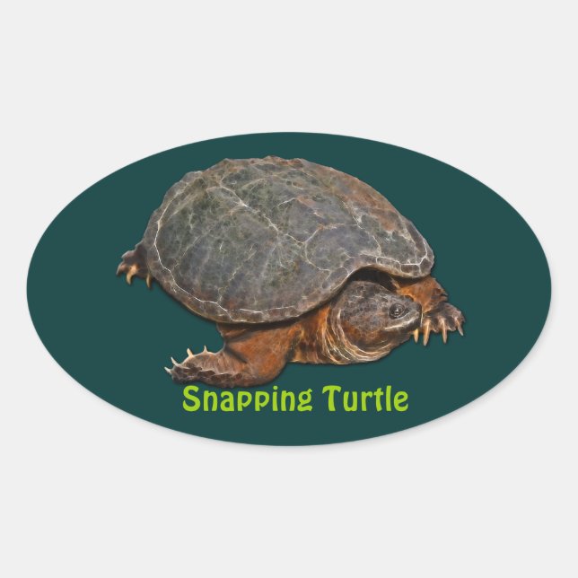Snapping Turtle Terrapin-lover Stickers (Front)