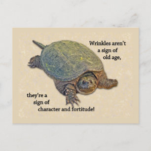 Snapping Turtle Wrinkled Old Age Wisdom Postcard