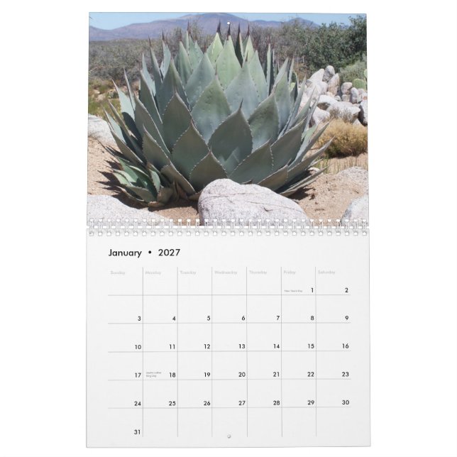 Snapshots Calendar (Jan 2027)