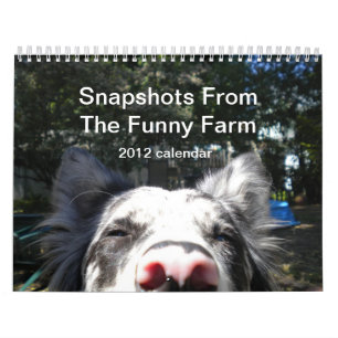 Snapshots From The Funny Farm 2012 calendar
