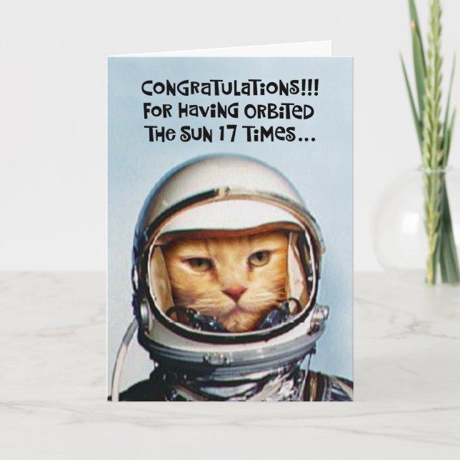 Snarky 17th Birthday Congrats Card (Front)