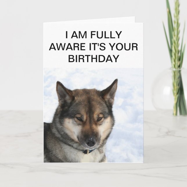 Snarky Siberian Husky Birthday Card (Front)