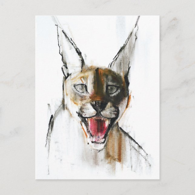 Snarl Postcard (Front)