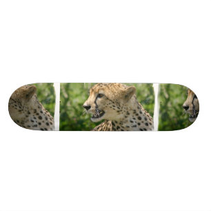 Snarling Cheetah  Skateboard