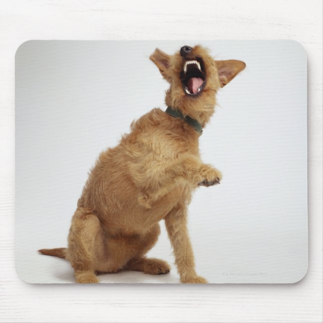 Snarling Dog Mouse Pad (Front)