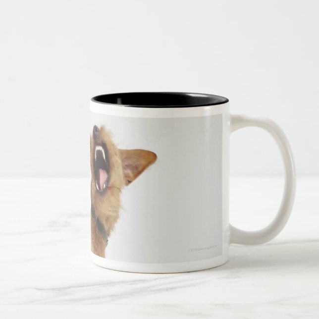 Snarling Dog Two-Tone Coffee Mug (Right)
