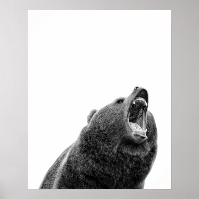 Snarling Grizzly Bear Black White modern Poster (Front)