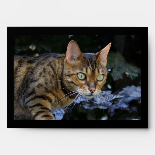 Sneaking Bengal Cat Envelopes (Front)