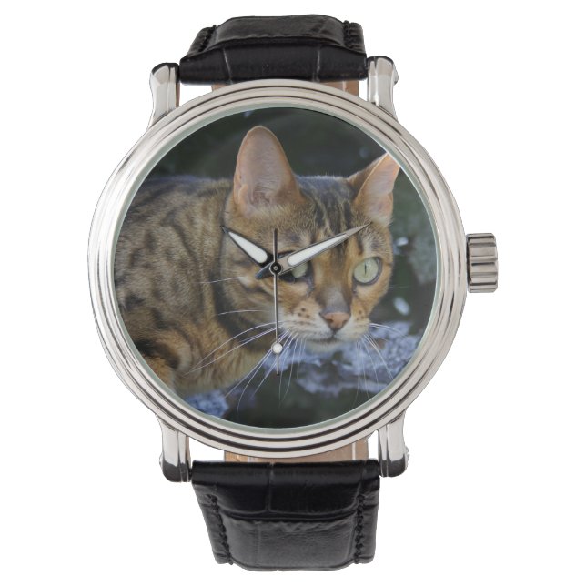 Sneaking Bengal Cat Watch (Front)