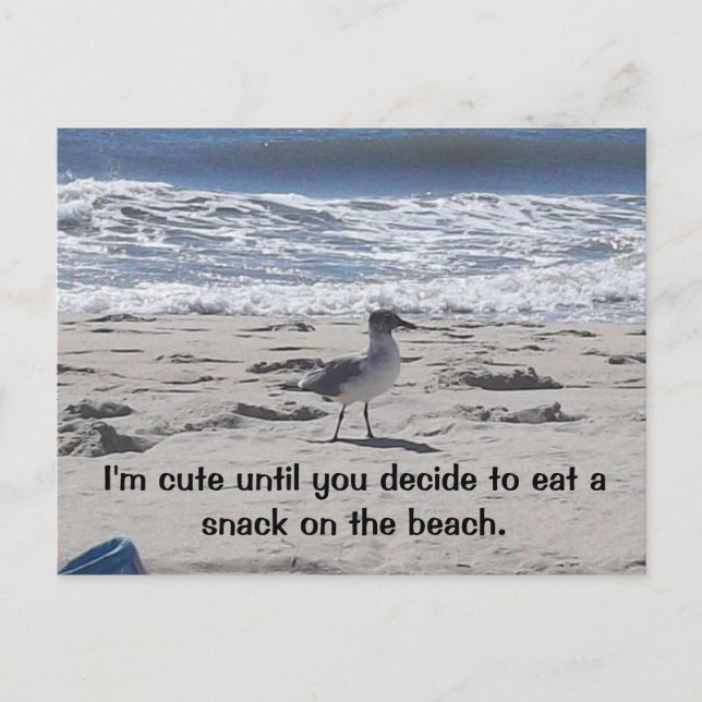 Sneaky Bird on the Beach Postcard (Front)