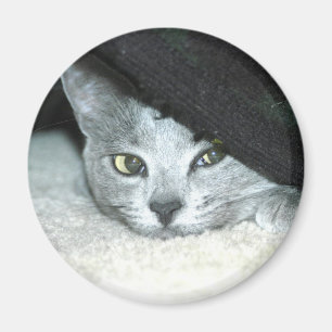 Sneaky Karma Magnet