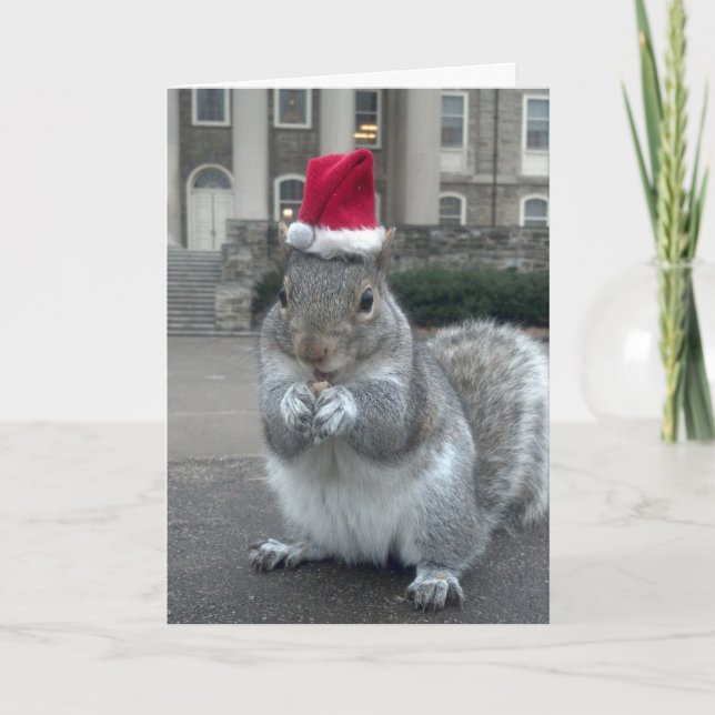 Sneezy the Squirrel Christmas Card (Front)
