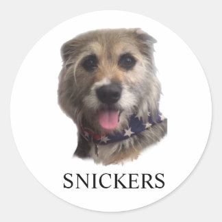 SNICKERS STICKER