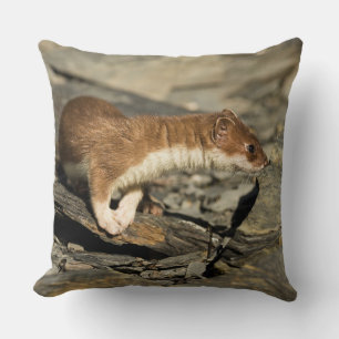 Sniffing Weasel Cushion