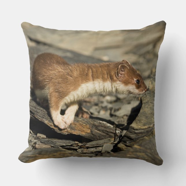 Sniffing Weasel Cushion (Front)