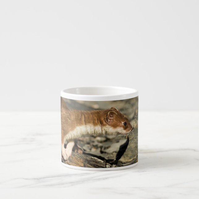 Sniffing Weasel Espresso Cup (Front)