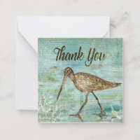 Snipe Bird On Shore Painted Art Thank You