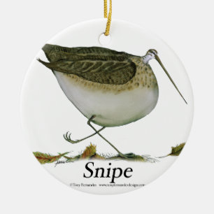 Snipe bird, tony fernandes ceramic tree decoration