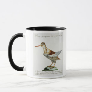 Snipe, c.1767-76 (hand coloured engraving) mug