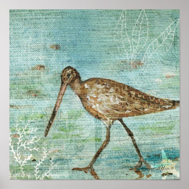 Snipe Coastal Shorebird Beach Art Print (Front)