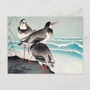 Snipes at the Shore, fine art by Ohara Koson Postcard