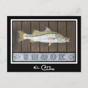 Snook Postcards
