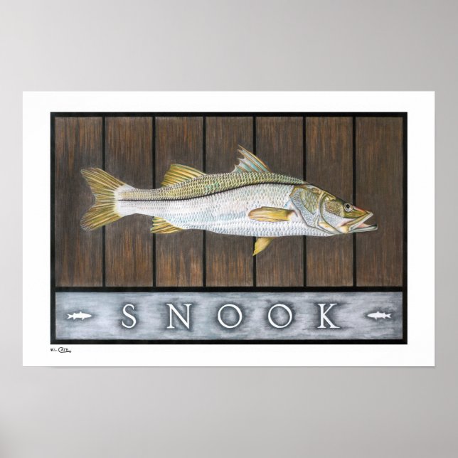 Snook Posters, Prints and Frames (Front)