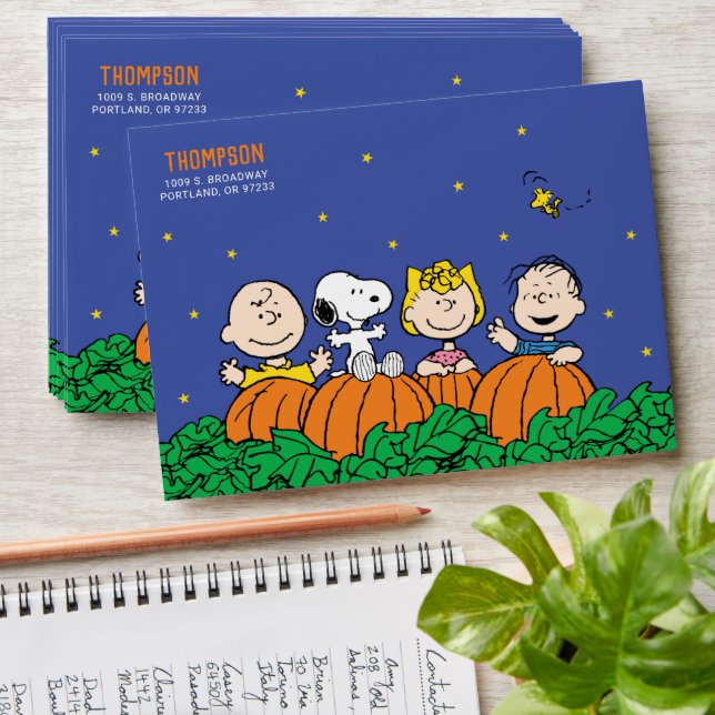 Snoopy and Pumpkin First Birthday Envelope (Stacked)