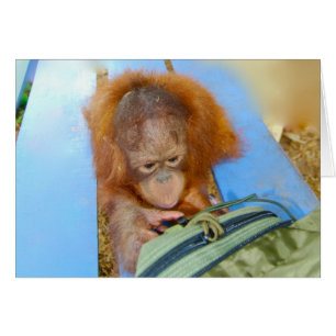 Snoopy Baby Orangutan