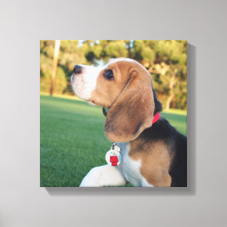 Snoopy Beagle Canvas Print