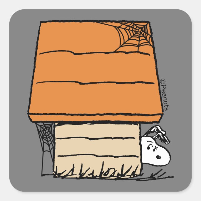 Snoopy Halloween Spider Web Doghouse Square Sticker (Front)