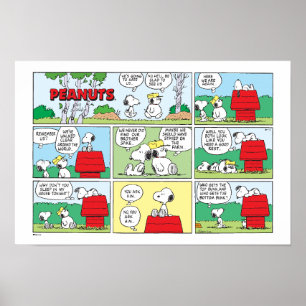 Snoopy & His Brothers Andy & Olaf Poster