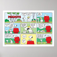 Snoopy & His Brothers Andy & Olaf