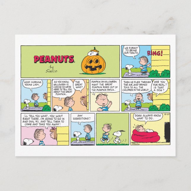 Snoopy & Linus | The Great Pumpkin News Postcard (Front)