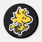 Snoopy & Woodstock Fun & Flowers