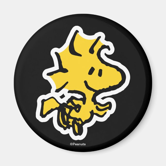 Snoopy & Woodstock Fun & Flowers Magnet (Front)