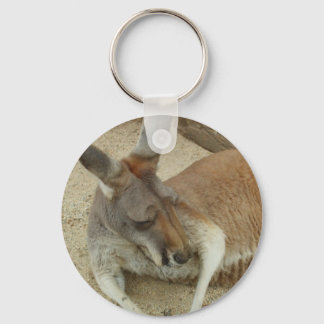 Snoozin Key Ring