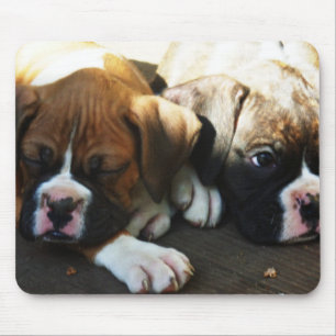Snoozing boxer pups mousepad