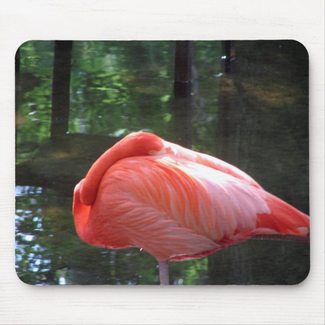 Snoozing Flamingo Mouse Pad (Front)