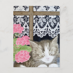 Snoozing in the sun postcard
