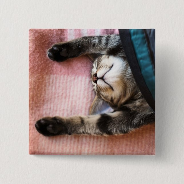Snoozing Kitten 15 Cm Square Badge (Front)