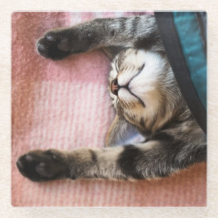 Snoozing Kitten Glass Coaster