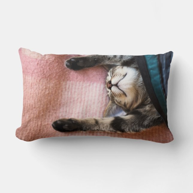 Snoozing Kitten Lumbar Cushion (Front)