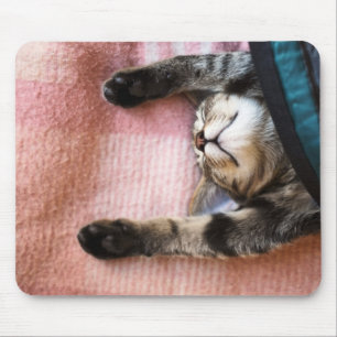 Snoozing Kitten Mouse Pad
