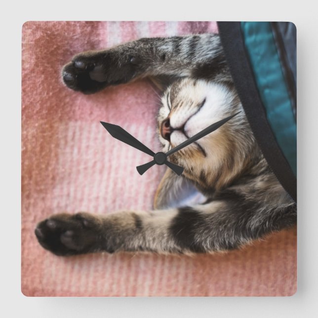Snoozing Kitten Square Wall Clock (Front)
